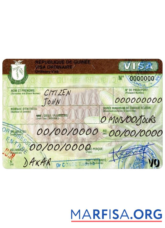 Printable Guinea travel visa template